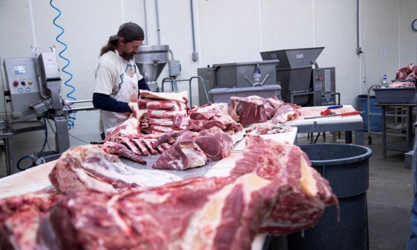 Mỹ giảm xuất khẩu thịt bò, siết chặt công ty thực phẩm