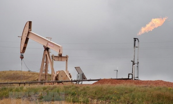 Giá gas hôm nay 14/11: Tăng nhẹ