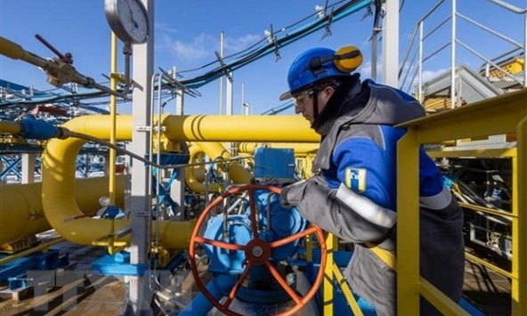 Giá gas hôm nay 24/11: Tồn kho giảm bất ngờ