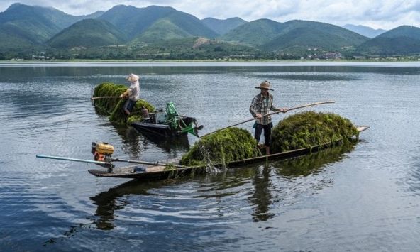 Hồ Inle nổi tiếng của Myanmar bị 'nghẹt thở'