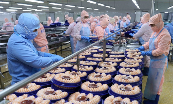 Việt Nam cung cấp tôm lớn thứ 2 thế giới, xuất khẩu tới 100 quốc gia