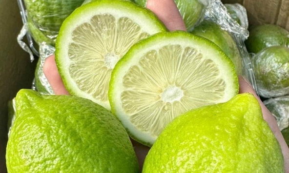 Hàng chục tấn 'chanh nước hoa' Trung Quốc đổ về TP.HCM mỗi ngày