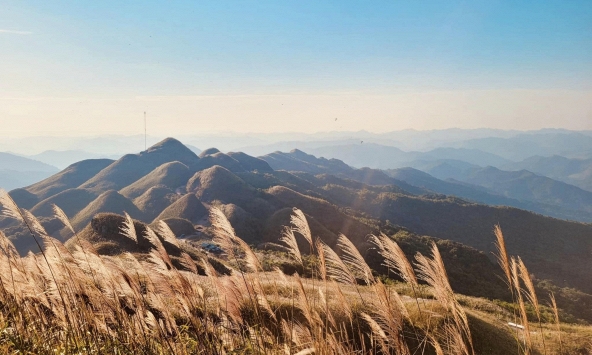 Ngắm 'thiên đường' cỏ lau trên đường tuần tra biên giới