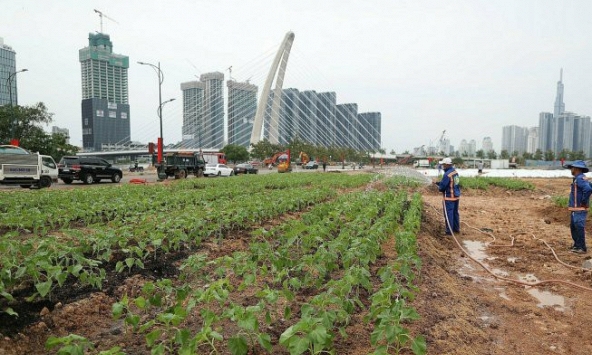 Người dân TP.HCM có thêm điểm vui chơi giải trí ven sông dịp Tết