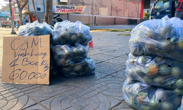 Cam rớt giá thê thảm, 2.000 đồng một kg vẫn ế