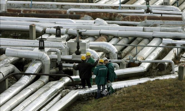 Giá xăng dầu hôm nay 30/11: Tăng trước cuộc họp OPEC