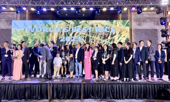 ST25 trở lại 'ngôi vương' gạo ngon nhất thế giới