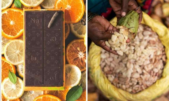 Sôcôla thủ công cao cấp Ấn Độ vươn ra thế giới