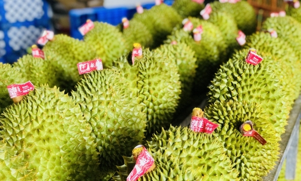 Xuất khẩu rau hoa quả 11 tháng ước đạt 5,3 tỉ USD