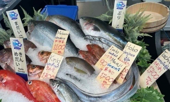 Cá tươi Nhật Bản tràn vào thị trường Thái Lan