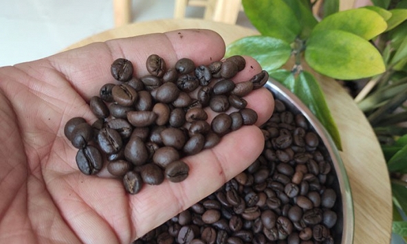 Dự báo giá cà phê sẽ tăng trong ngắn hạn