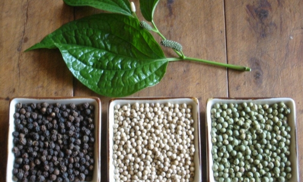 Giá tiêu hôm nay 4/12: Dao động từ 71.000 - 74.000 đồng/kg