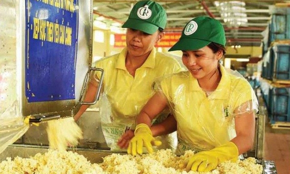 Giá cao su hôm nay 7/12: Biến động trái chiều