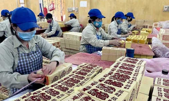 Doanh nghiệp vàng mã duy nhất trên sàn chuẩn bị chia cổ tức tỷ lệ 100%