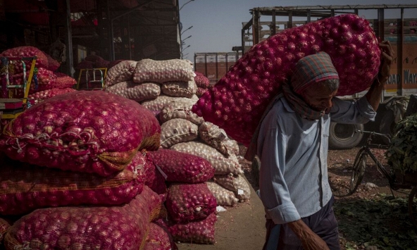 Ấn Độ đưa hành tây nằm trong danh sách hạn chế xuất khẩu