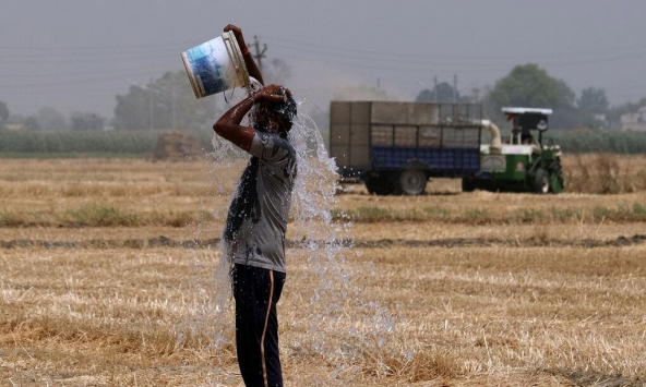 Nhu cầu thực phẩm cho cuộc chiến chống biến đổi khí hậu đang được triển khai