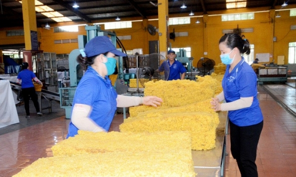 Giá cao su hôm nay 16/12: Tăng nhẹ trên sàn châu Á