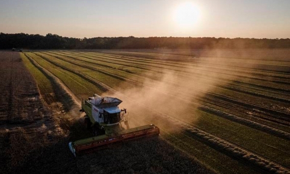 Con đường ngũ cốc mới có thể xoa dịu rạn nứt giữa Ukraina với các nước láng giềng