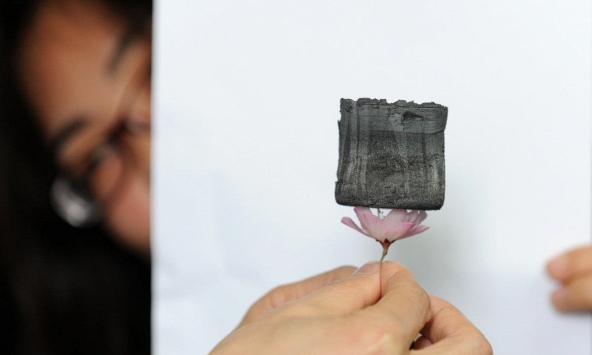 Trung Quốc học cách tạo ra quần áo mùa đông siêu mỏng từ gấu Bắc Cực