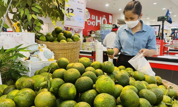 Giá thực phẩm hôm nay 25/12: Nhiều loại trái cây giảm trước Tết Dương lịch