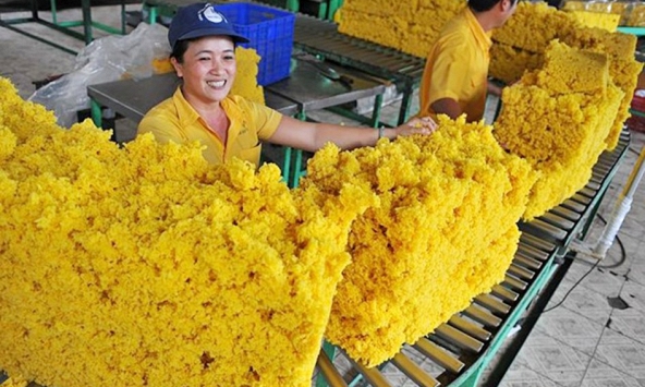 Xuất khẩu cao su 2023 giảm nhẹ