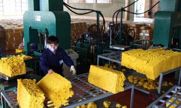 Giá cao su hôm nay 4/1: Xu hướng giảm