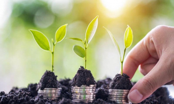 Năm 2023, các ngân hàng lớn nhất thế giới thu về 3 tỷ USD từ nợ xanh