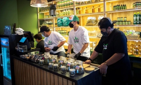 Thái Lan sẽ cấm sử dụng cần sa trong tất cả 'cuộc vui'