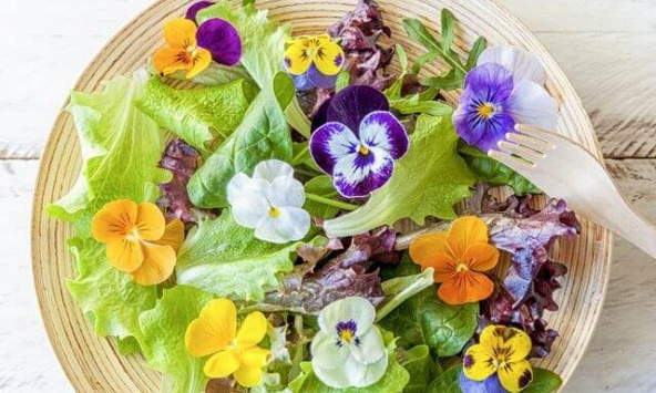 Những loại hoa không chỉ để ngắm mà còn ăn được tốt cho sức khỏe