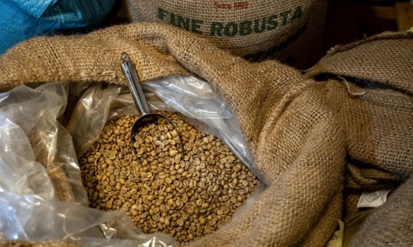 Căng thẳng tại Biển Đỏ đang tạo ra sự hỗn loạn trong thương mại cà phê toàn cầu