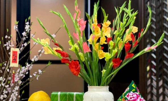 Gợi ý các loại hoa cắm Tết vừa rẻ vừa đẹp