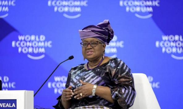 Tổng giám đốc WTO: Bất ổn địa chính trị có thể hạn chế sự phục hồi vào năm 2024