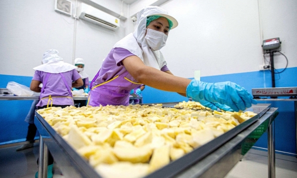 Sầu riêng Việt Nam và Philippines đổ bộ Trung Quốc, thị phần của Thái Lan giảm mạnh