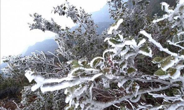 Thời tiết ngày mai 22/1: Miền Bắc chìm trong rét đậm rét hại, có thể xảy ra mưa tuyết