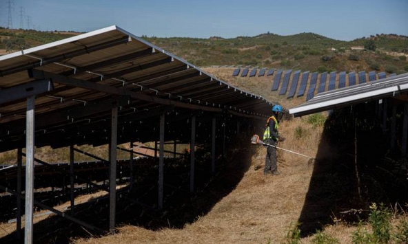 Các nhà sản xuất Trung Quốc đang làm lu mờ ngành năng lượng mặt trời của châu Âu như thế nào?