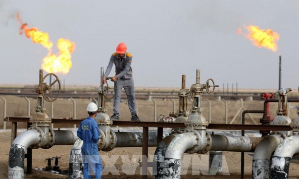 Giá gas hôm nay 23/1: Vẫn ở mức thấp