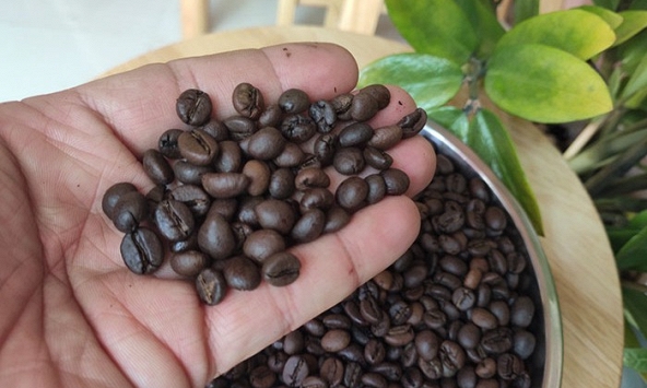 Thiếu hụt nguồn cung, giá cà phê có thể tiếp tục tăng mạnh