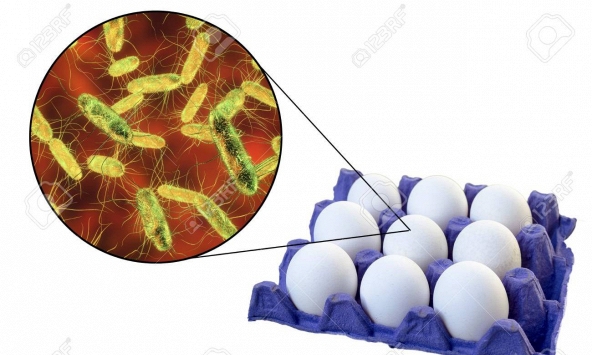 Những thực phẩm có nguy cơ nhiễm khuẩn salmonella cao, cần thận trọng khi tiêu thụ dịp Tết