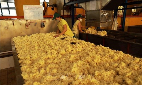 Giá cao su hôm nay 5/2: Không có nhiều biến động