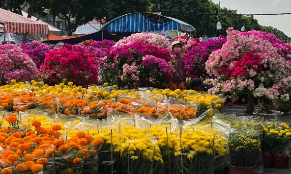 'Hoa bình dân' xuống phố ngày giáp Tết