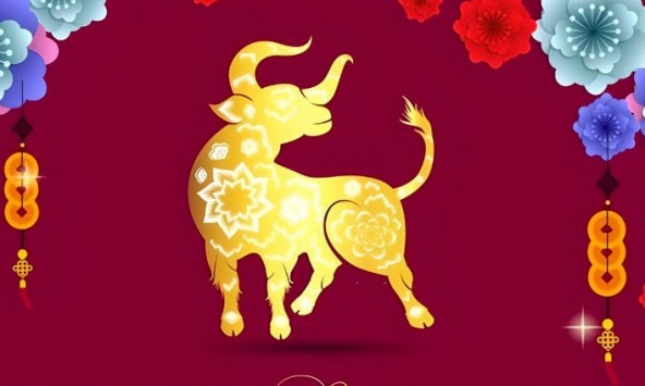 Tuổi Đinh Sửu 1997 xuất hành Tết 2024 vào giờ nào, hướng nào tốt nhất?