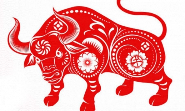 Ngày khai trương đẹp nhất năm 2024 cho tuổi Quý Sửu 1973