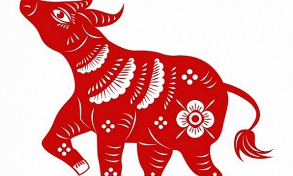 Ngày khai trương đẹp nhất năm 2024 cho tuổi Tân Sửu 1961