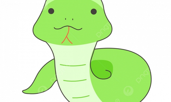 Ngày khai trương đẹp nhất năm 2024 cho tuổi Đinh Tỵ 1977