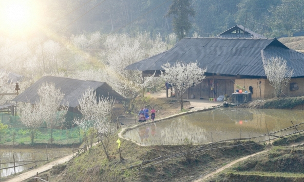Hành trình mùa xuân nơi rẻo cao