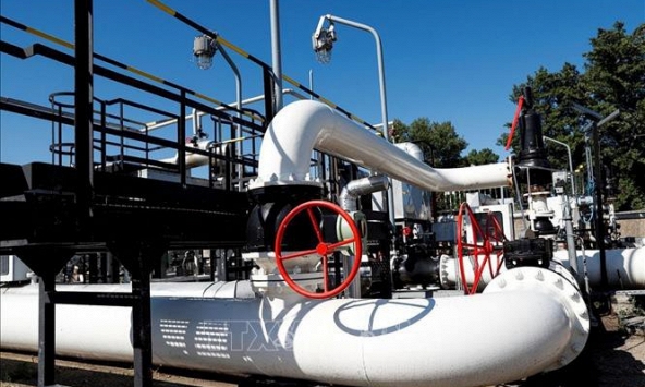 Giá gas hôm nay 24/2: Bất ngờ lao dốc