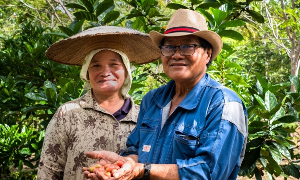 Nông dân Malaysia trồng cà phê để thu hút khách du lịch