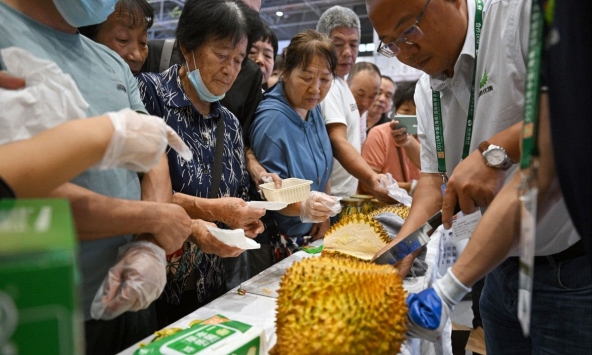 Xuất khẩu sầu riêng sang Trung Quốc ngày càng khốc liệt, liệu Philippines, Malaysia có cơ hội?