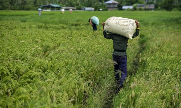Hội nghị thượng đỉnh WTO: Philippines đặt mục tiêu đạt được thỏa thuận về thủy sản và nông nghiệp