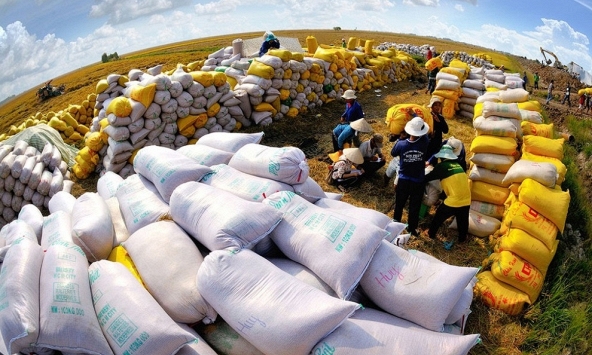 Việt Nam nắm giữ nguồn xuất khẩu gạo lớn thứ ba của thế giới